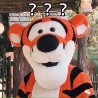 Zhihu profile picture for @royals