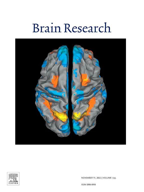 mind brain research paper