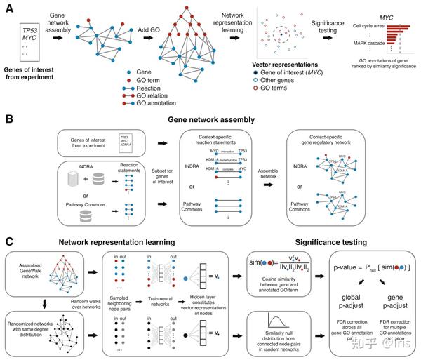 Genewalk 通过网络表示学习鉴定生物学环境中的相关基因功能 知乎