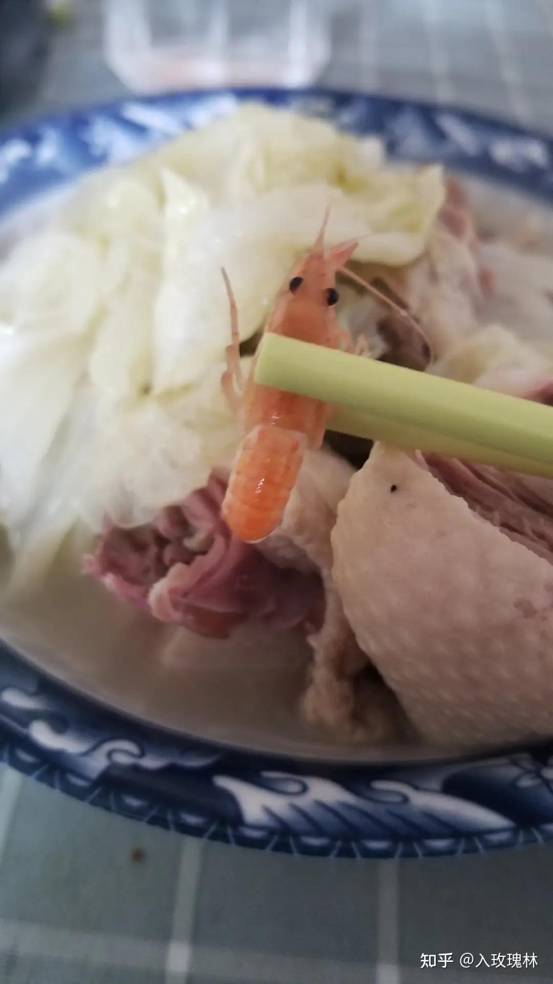 慎入自己养面包虫自己吃低成本优质蛋白质来源