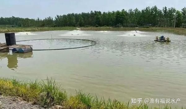 2,化学方法最常用的就是生石灰清塘,生石灰遇水后发生化学反应,能放出