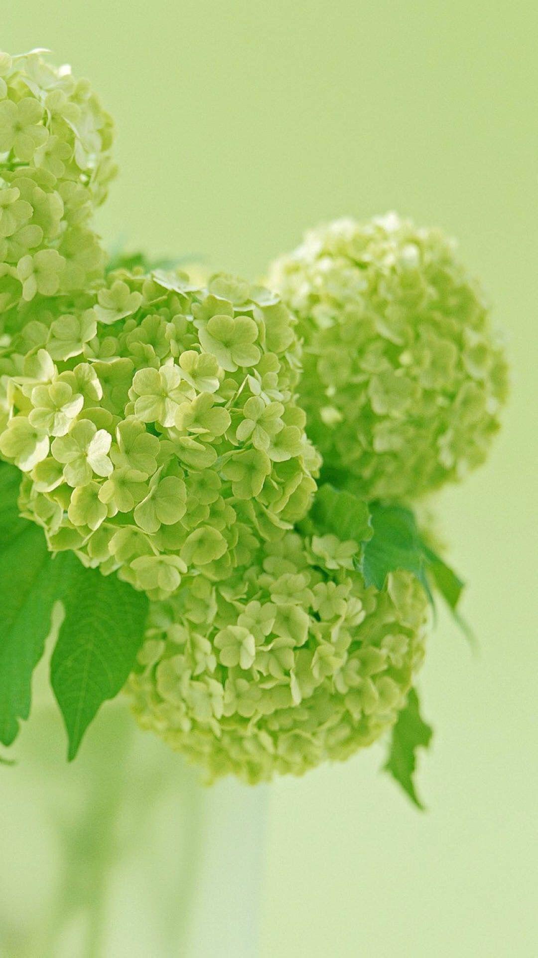 你最喜欢的手机锁屏壁纸是哪张