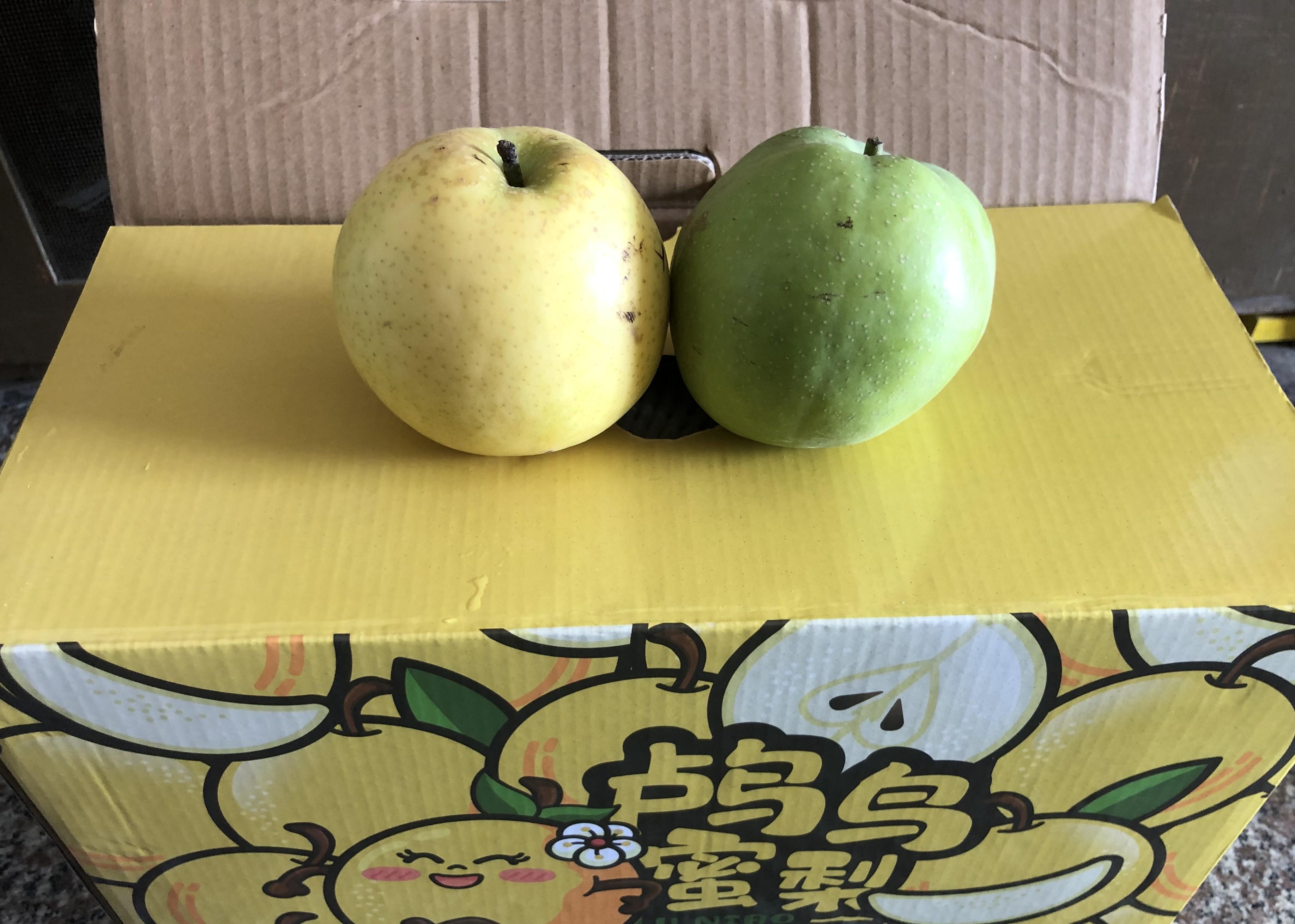 杭州的鸬鸟蜜梨乐园值得游玩的理由是什么? - 知乎