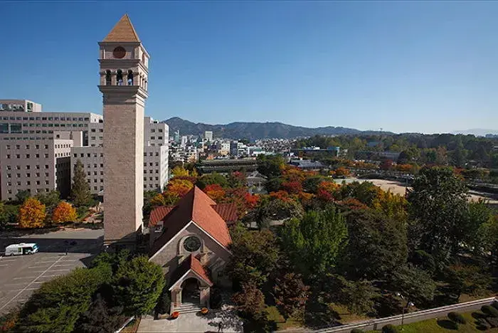 世宗大学一年制硕士2022年上半年第二批招生简章