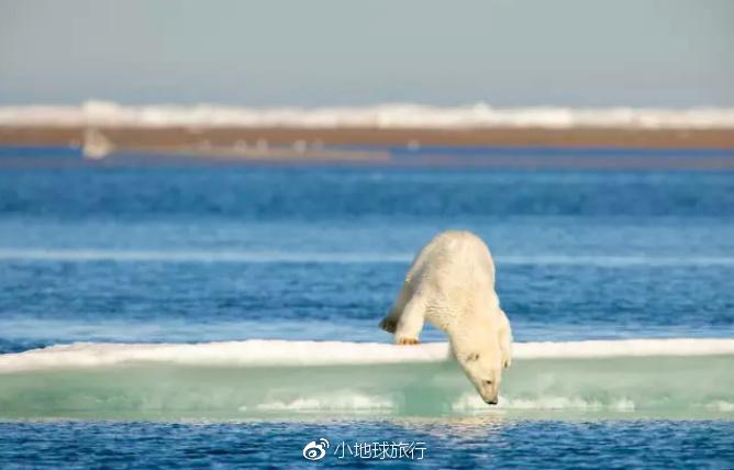 倒霉熊特工 贝肯熊 世界流浪记 系列游戏-游戏-高清视频在线观看-爱奇艺