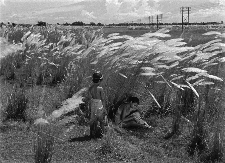 31. 大地之歌·1955
