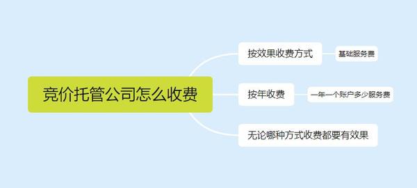 简述竞拍代销子公司通常服务费啥__chan_(竞拍代营运服务费是啥)