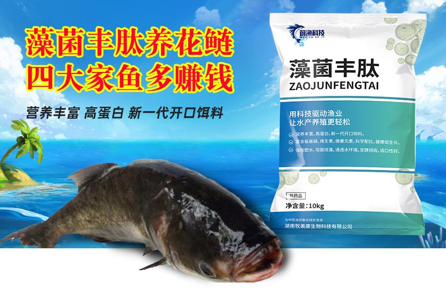 四大家鱼养殖想要多赚钱 这套花白鲢高产养殖技术学起来 知乎 四大家鱼养殖想要多赚钱 这套花白鲢高产养殖技术学起来 知乎