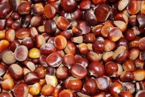 v2-e24552eafe9eee101e33c22375160bbf_1440w.jpg?source=172ae18b