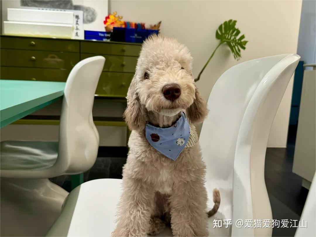 知乎