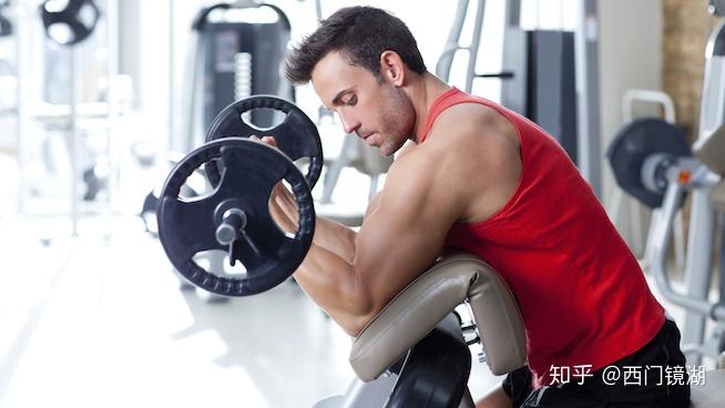 如何让肱二头肌鼓起来 v2-e252edd178681cd3b506d9e2e15480c8_r.jpg