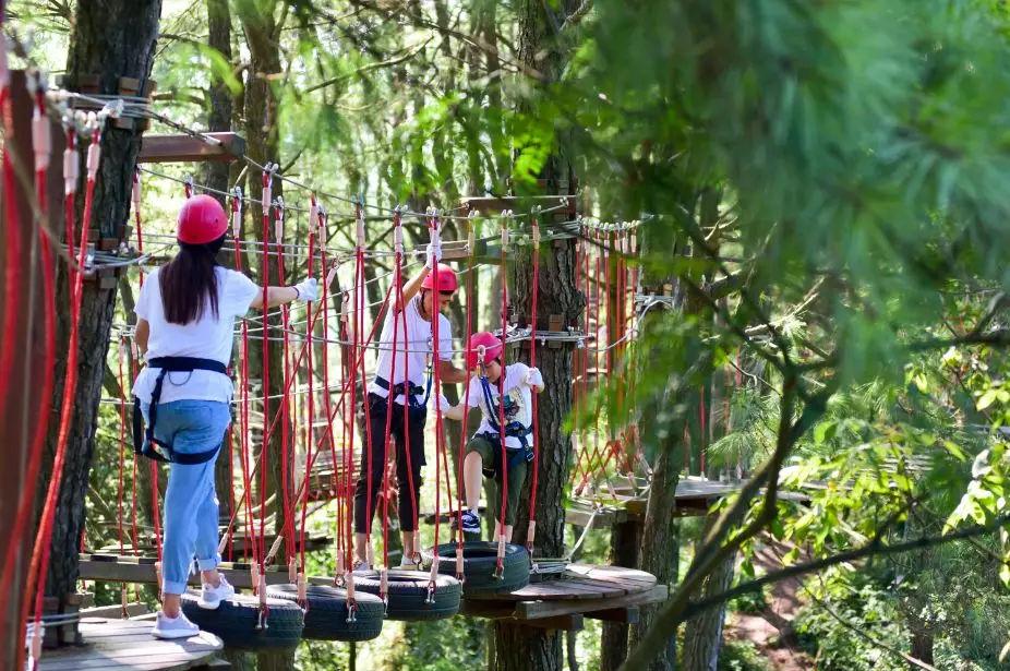 免费住深山里的情趣房!
