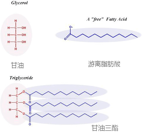 秋冬干燥季节， 干皮分泌油脂量少，更易缺 来自LBB官方- 微博