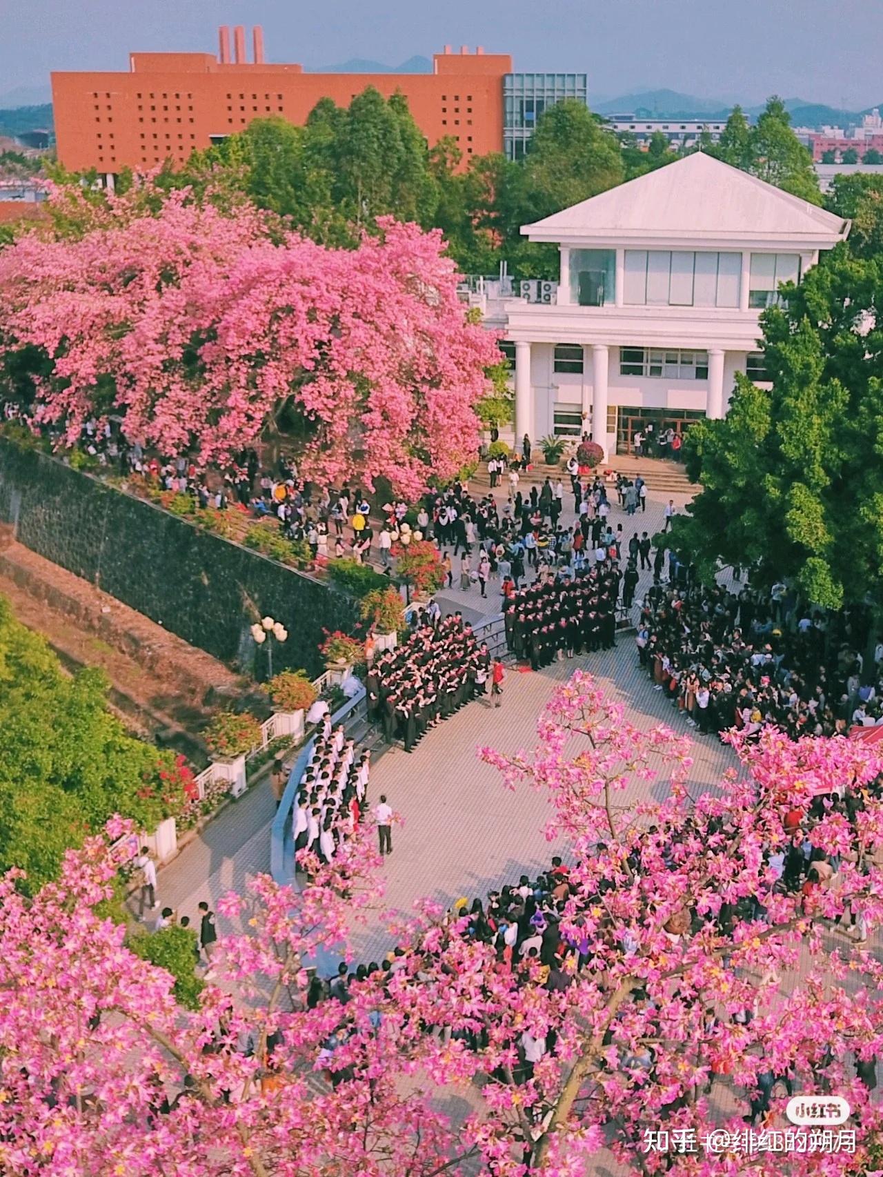 在广州大学华软软件学院就读是怎样一番体验?