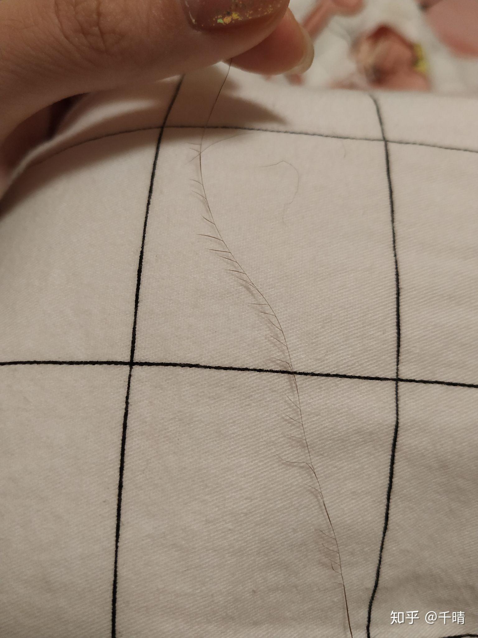 一根头发可以分叉成什么样? - 知乎