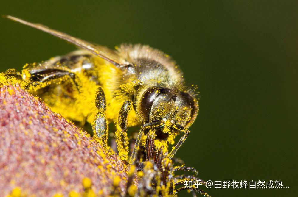 v2-e269be78592175cb1d651661ff408a50_r.jpg