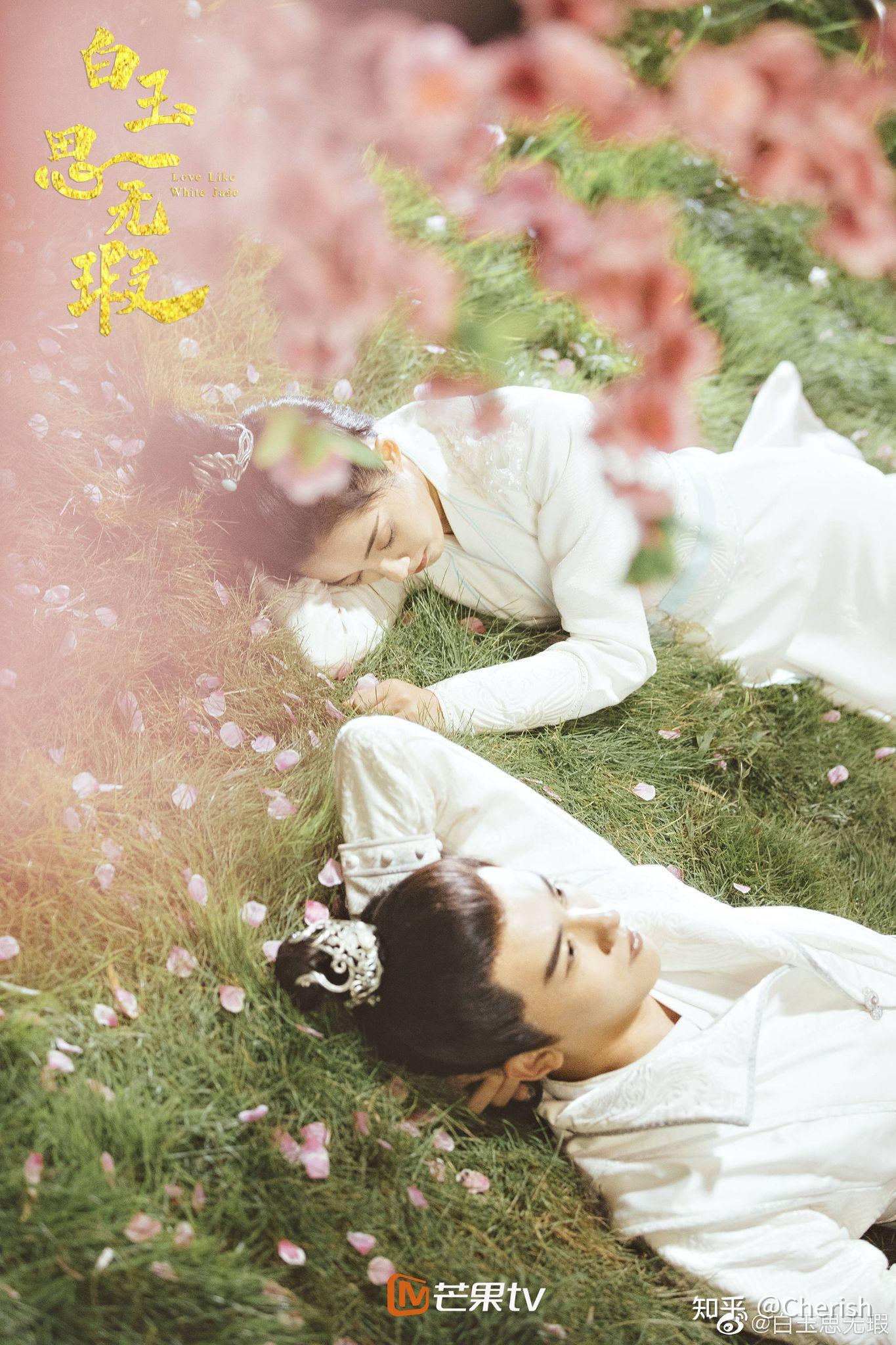 了琅琊阁金牌侍女水无瑕得江府聘请,负责辅佐大少爷江白玉学文习武,人