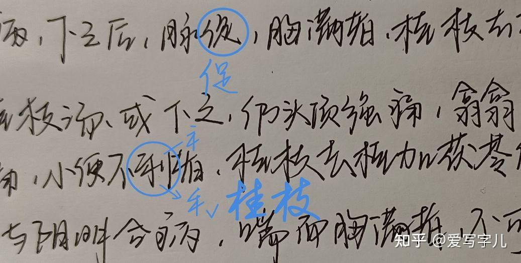 这个字怎么样? - 知乎