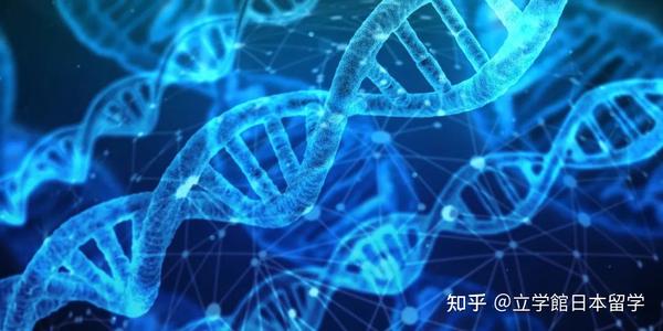 日本升学：生物学修考上岸，你必须知道的成功秘诀！ - 知乎