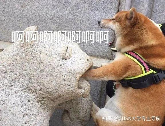 爆笑年度梗王专业大盘点