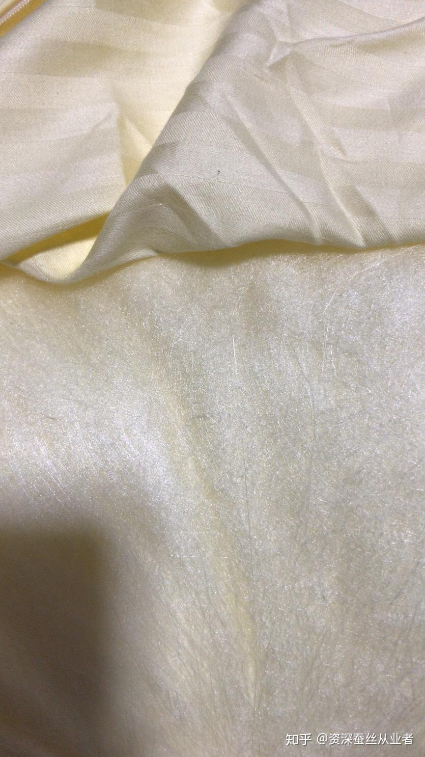 柞蚕丝为什么比桑蚕丝便宜