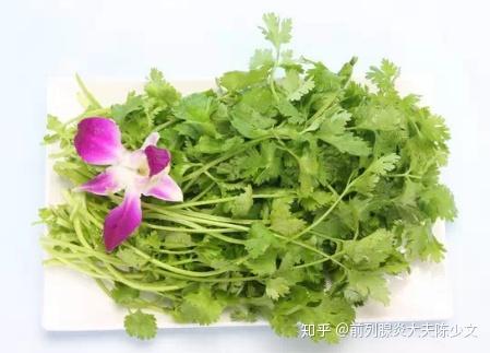 补肾吃什么蔬菜?