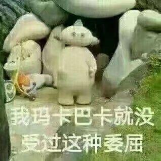 我是大一金融学,专业导论的老师让我们写篇论