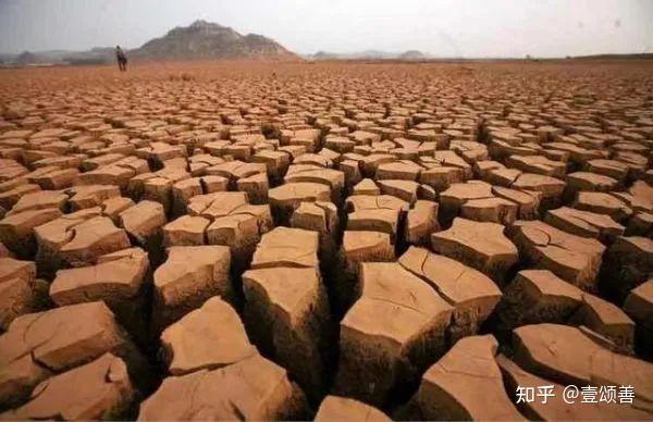历史性的干旱,有何影响? - 知乎
