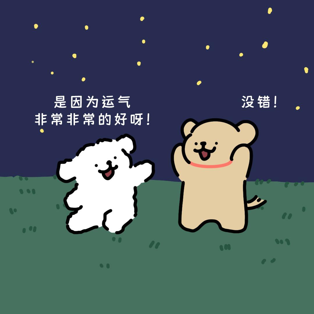 小狗头像合集 - 知乎