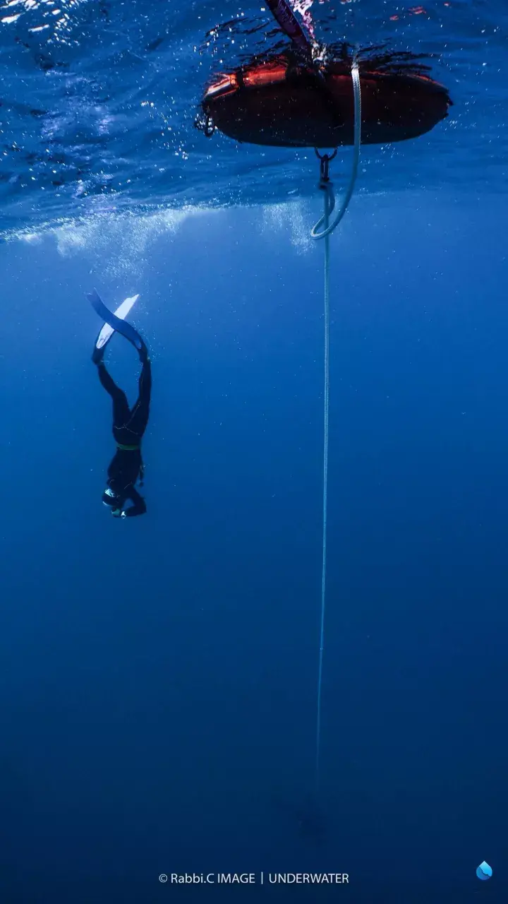 泰国涛岛aida新人类自由潜