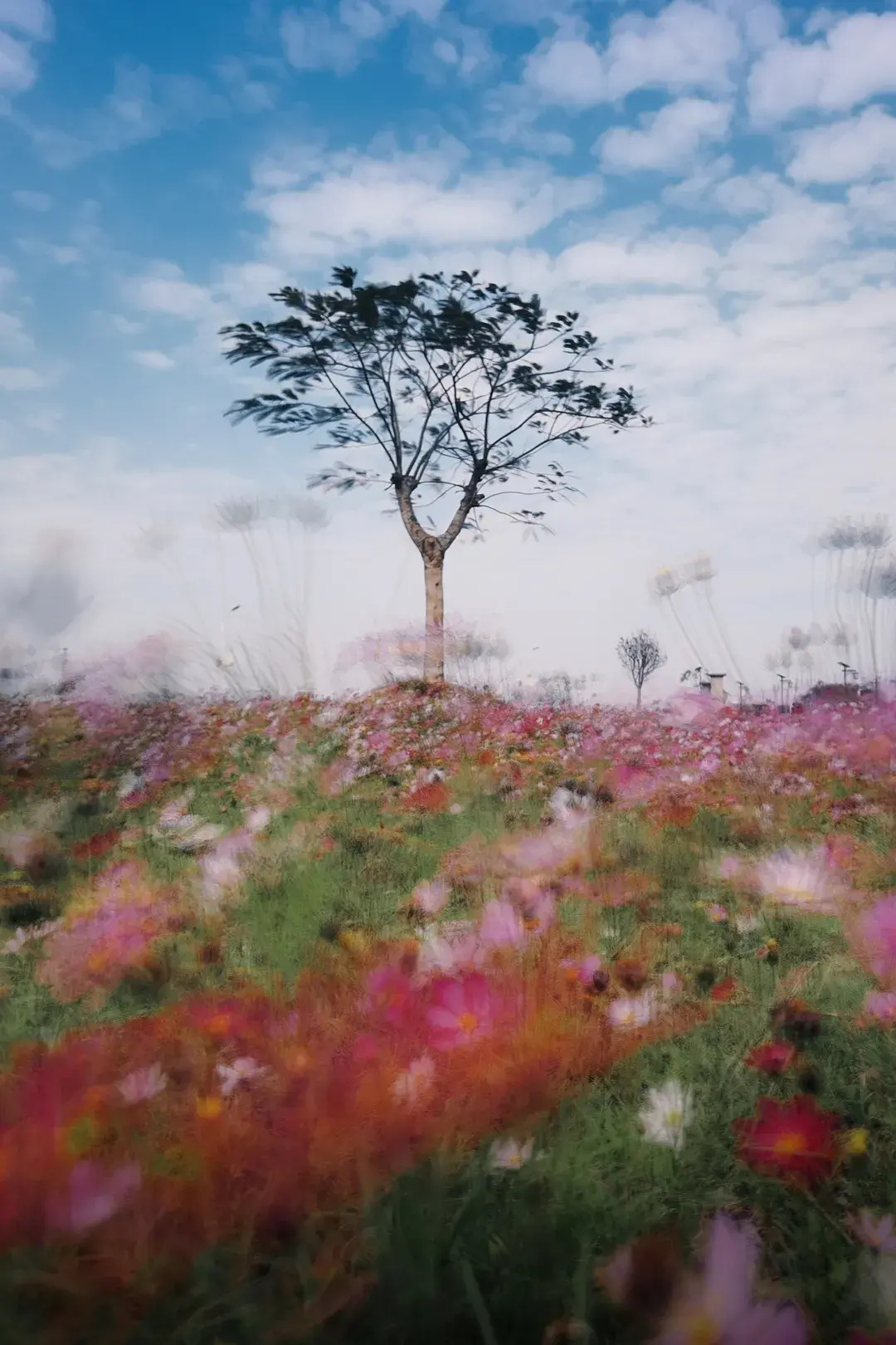 怎样拍照才能成为朋友圈的爆款