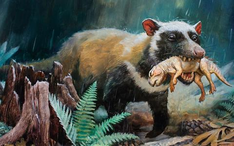 有没有详细的合弓纲和蜥形纲竞争和演化的纪录片