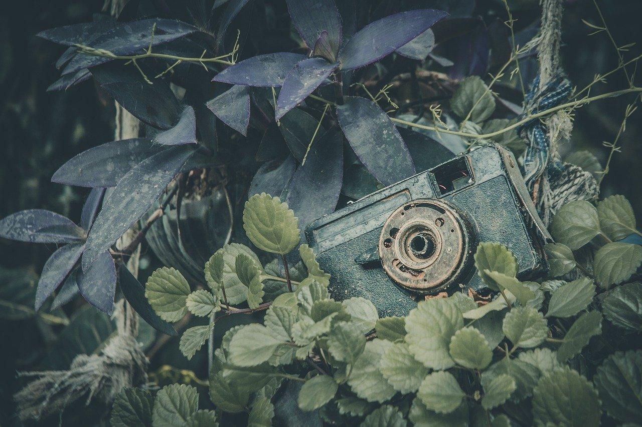 后恋爱观：新世代情感表达