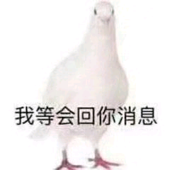 v2-e2c5b274e84d1ca10e42004355674120_b.jpg