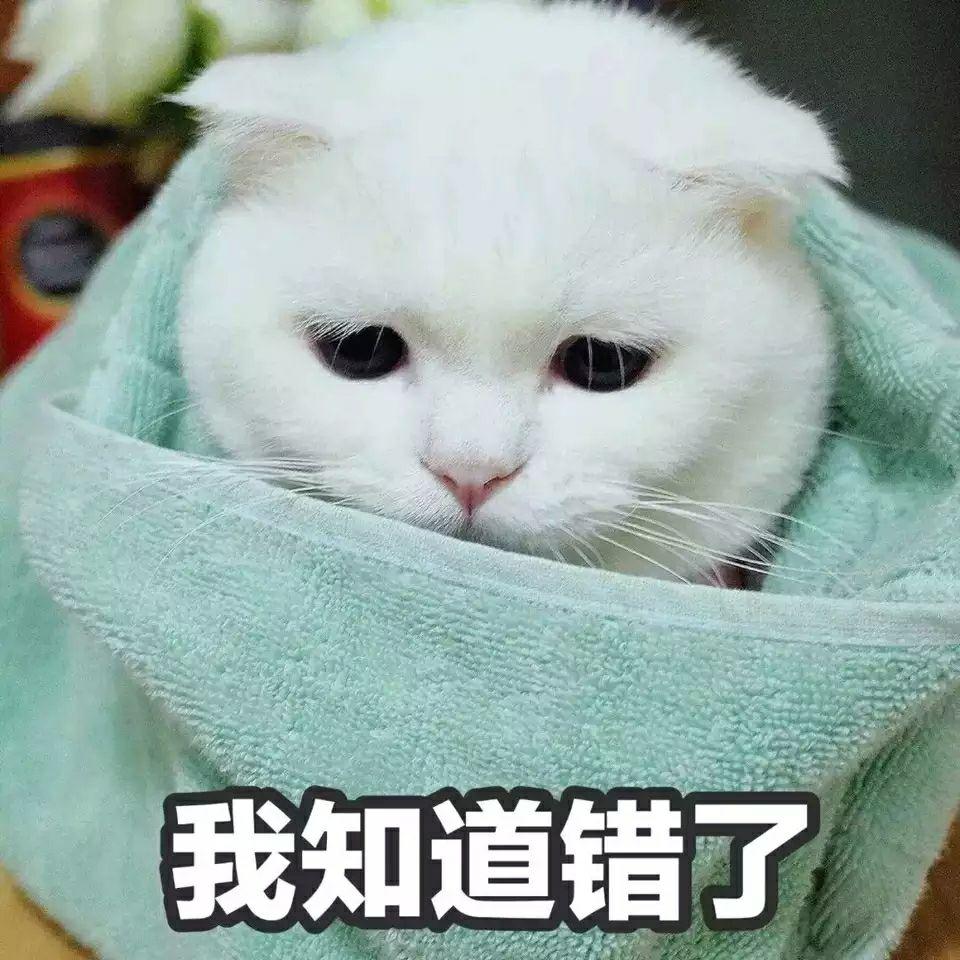 有哪些适合在撒娇时使用的表情包? - 知乎