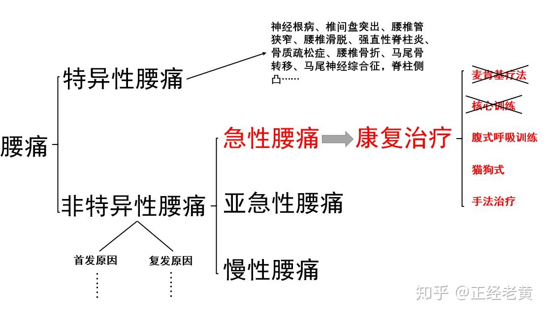 第二期——急性非特异性腰痛的康复治疗