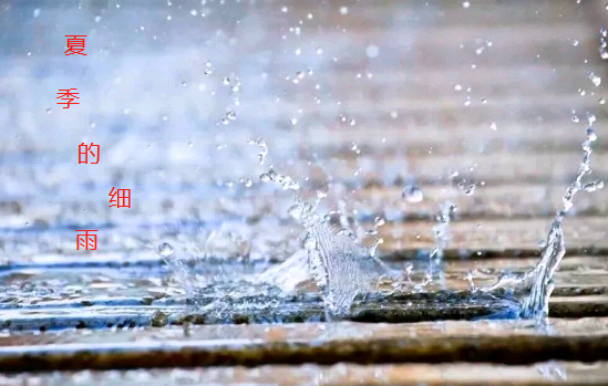 夏天的细雨 - 知乎