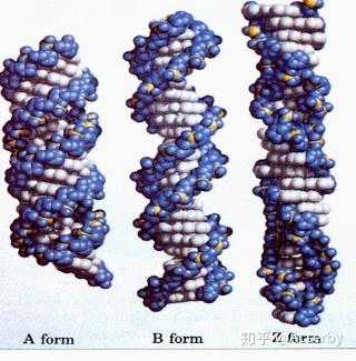 v2-e2d02a8e65eec464e018ed0433f0b04c_b.jpg