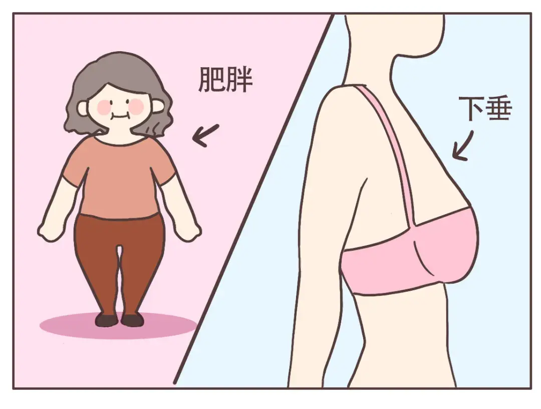 皮肤暗淡,粗糙,衰老……关于雌激素这些事,你知道吗?