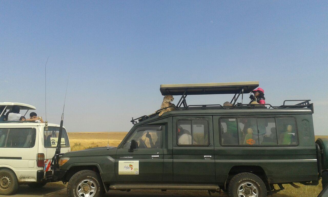 去肯尼亚旅行是一种什么体验?