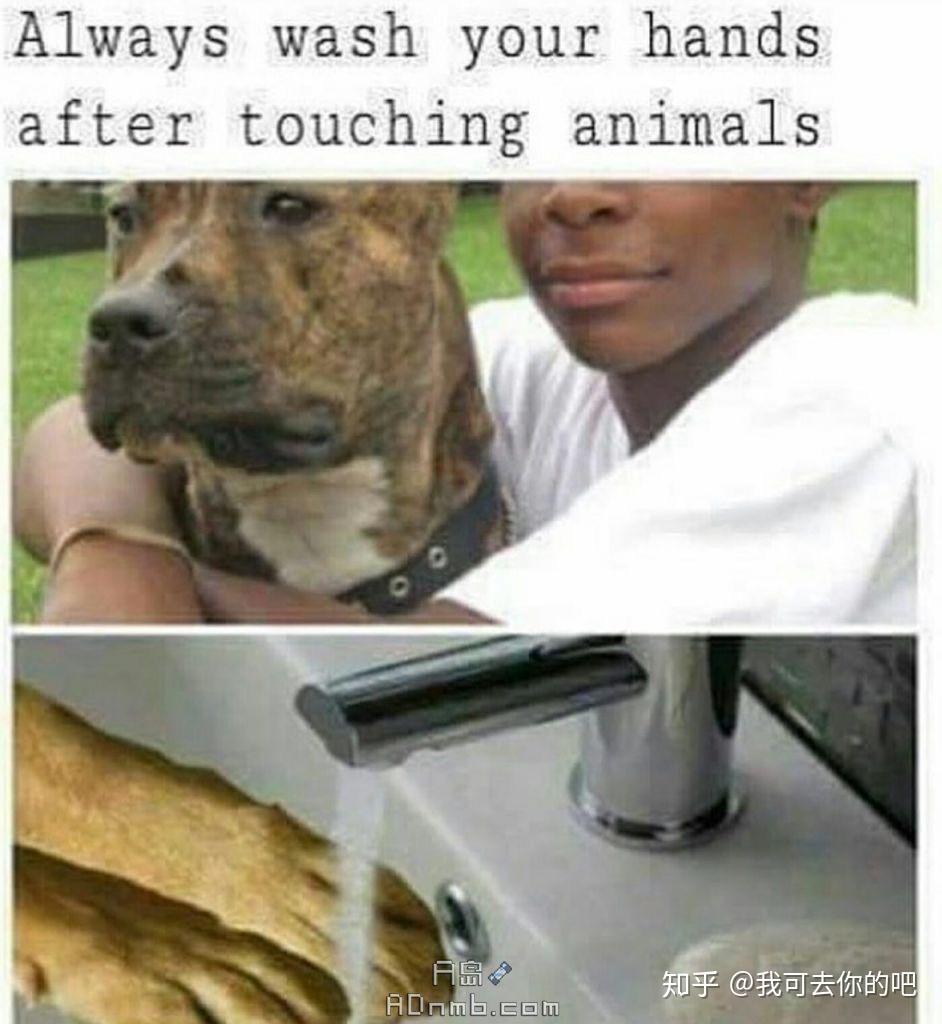 有没有什么黑人笑话或表情包