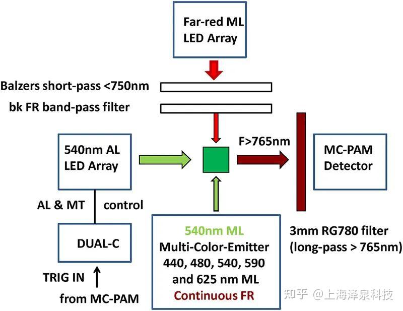 光系统I存在可变荧光再添新证据 - 知乎