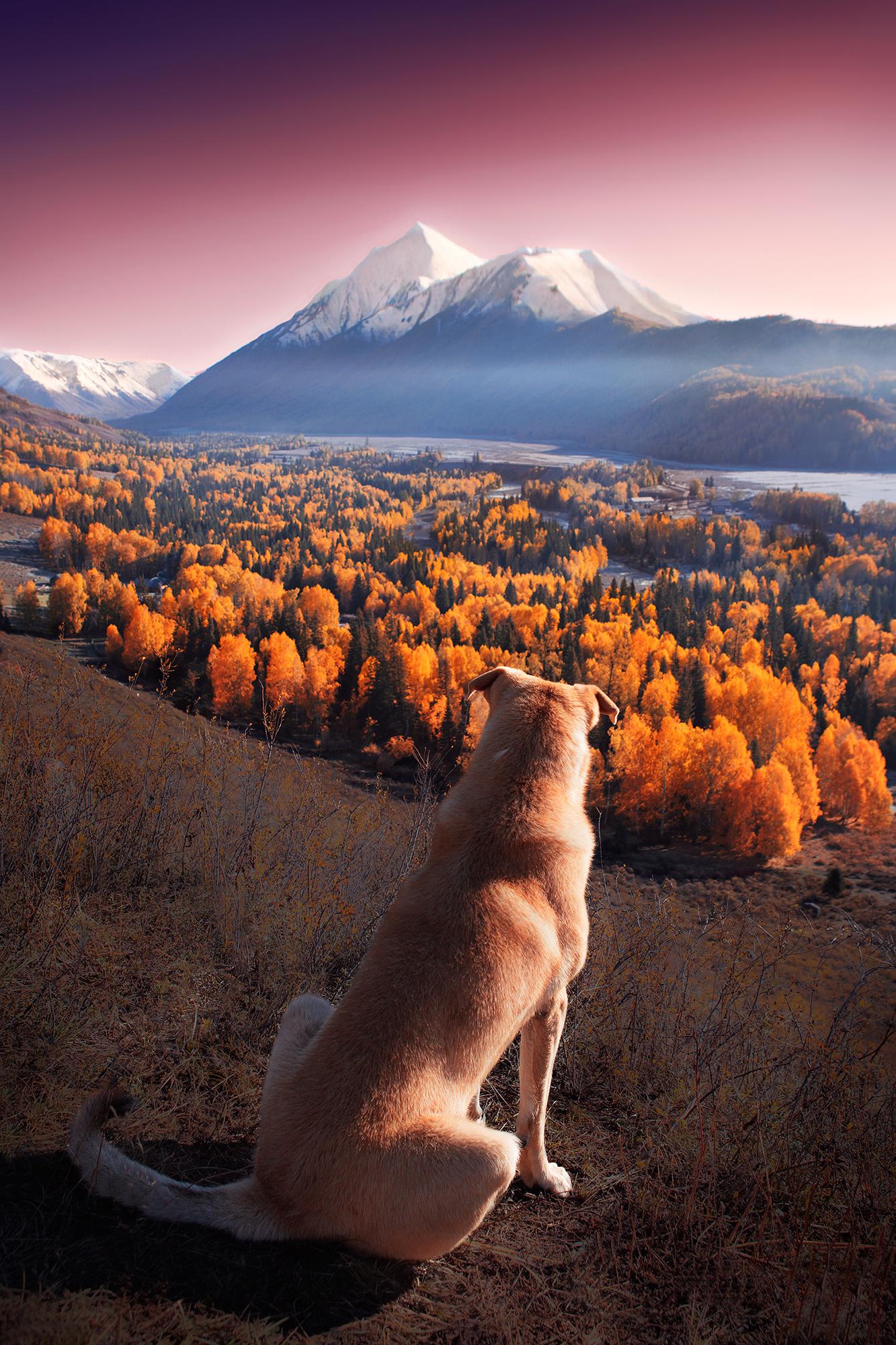 盘点图虫社区2017年度top30作品