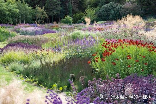 如何完成花境从设计到落地实施? - 知乎