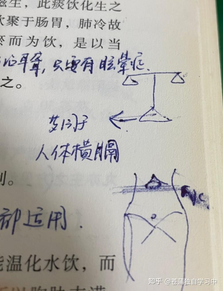 学中医:治疗痰饮、留饮和悬饮的方子 - 知乎