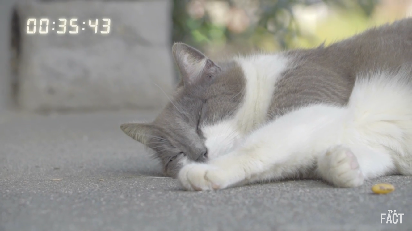 如果朝鲜核爆东京,住在哪个区域可以平安无事