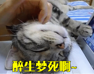 撸猫一时爽，一直撸猫一直爽！撸猫的正确姿势，你都知道吗？ - 知乎