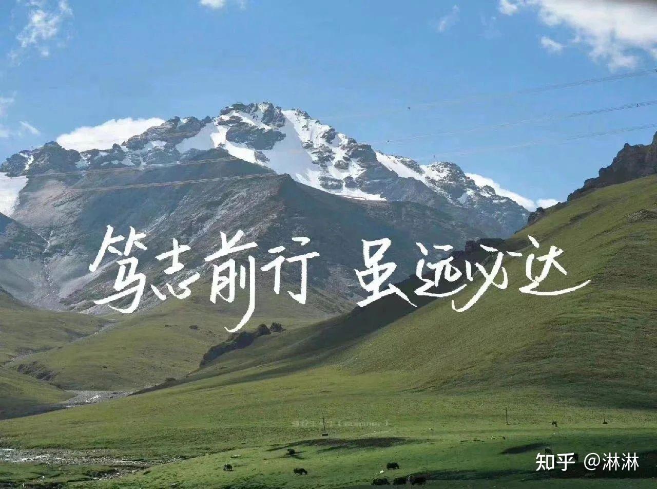 考研上岸!考研在线咨询真的很有用! - 知乎