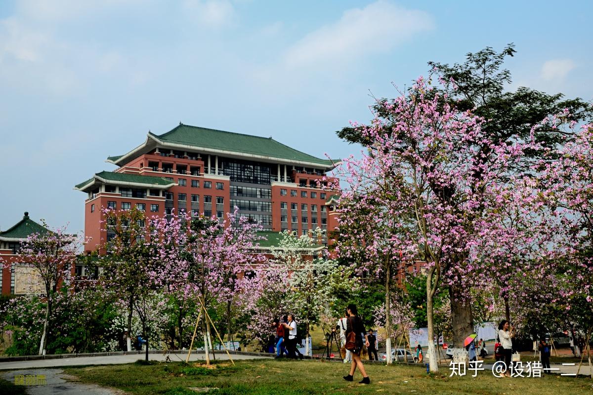 华南农业大学艺术设计复试