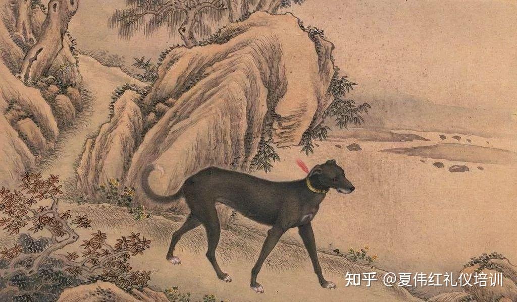 漫谈古礼 | 古人是有多爱养宠物? - 知乎